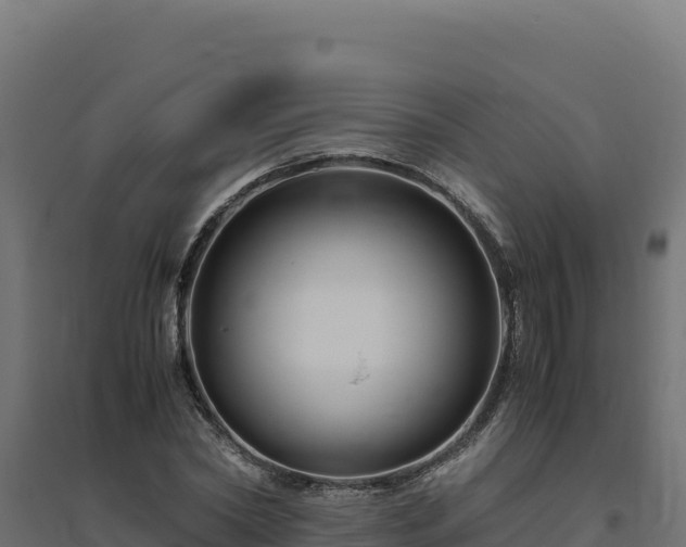 X0000094780782200711241338
