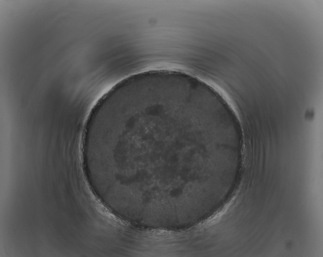X0000094780783200711241338