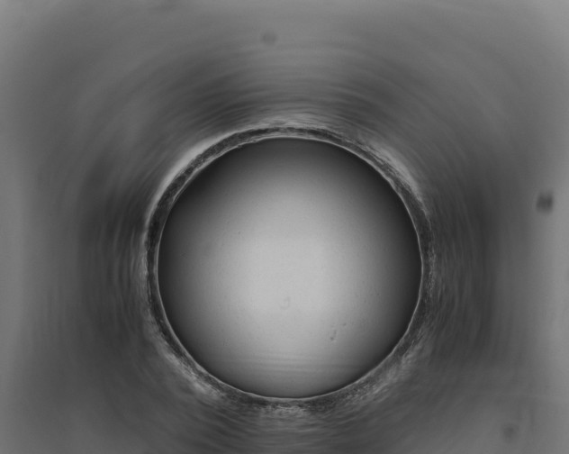 X0000094780784200711241338