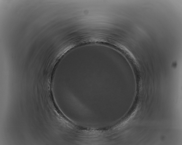X0000094780785200711241338