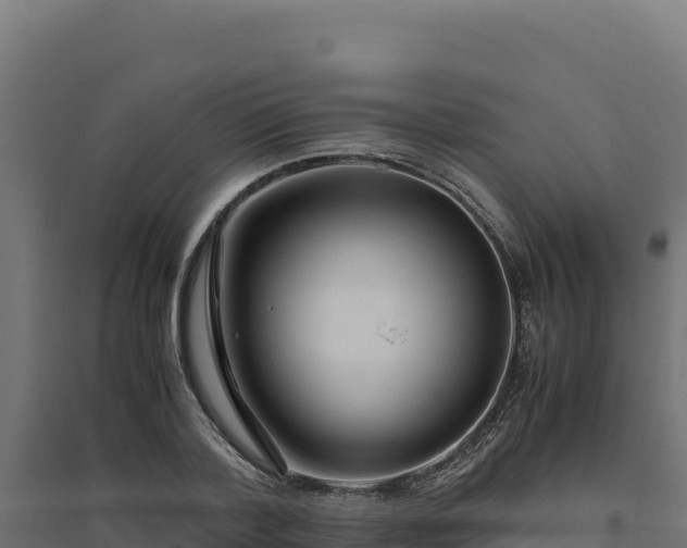 X0000094780788200711241338