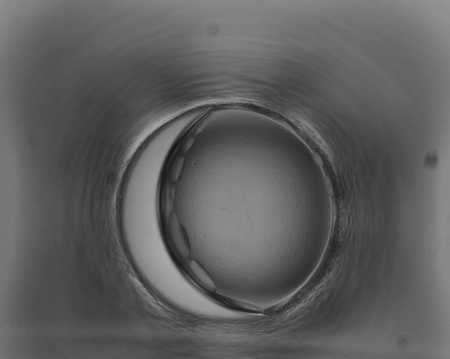 X0000094780789200711241338