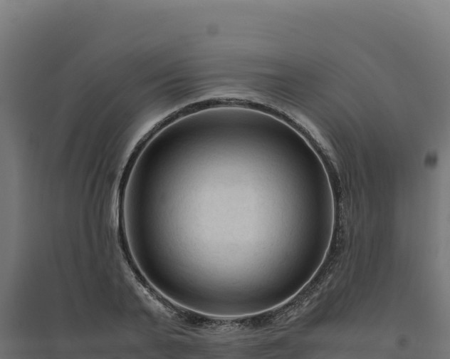 X0000094780791200711241338