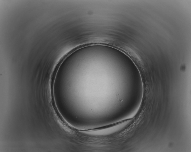X0000094780792200711241338