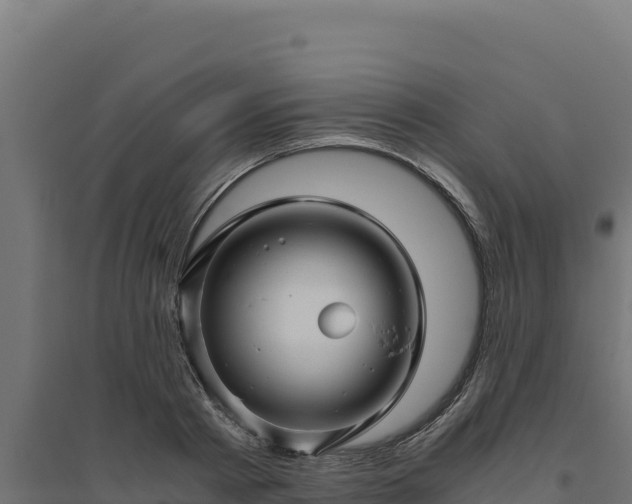 X0000094780793200711241338