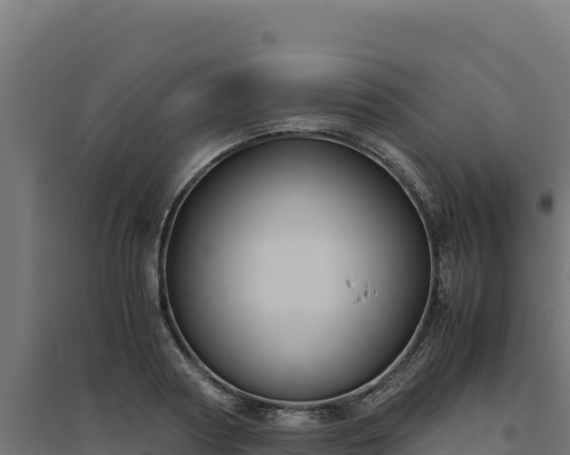 X0000094780794200711241338