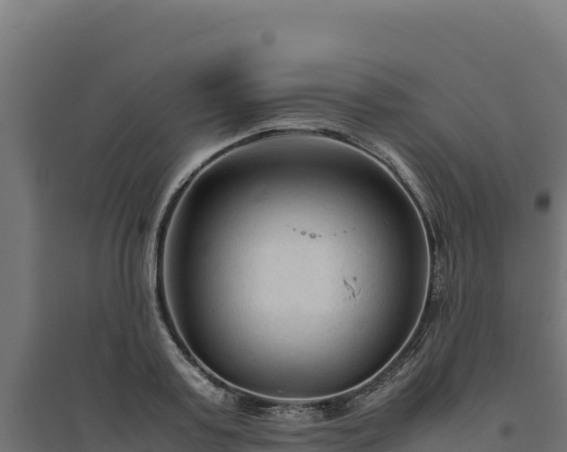 X0000094780795200711241338