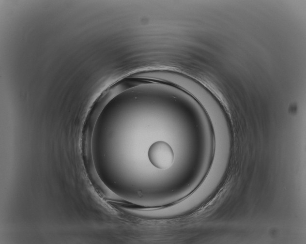 X0000094780797200711241338