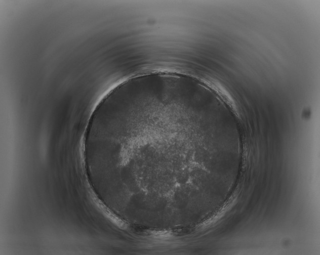 X0000094780798200711241338