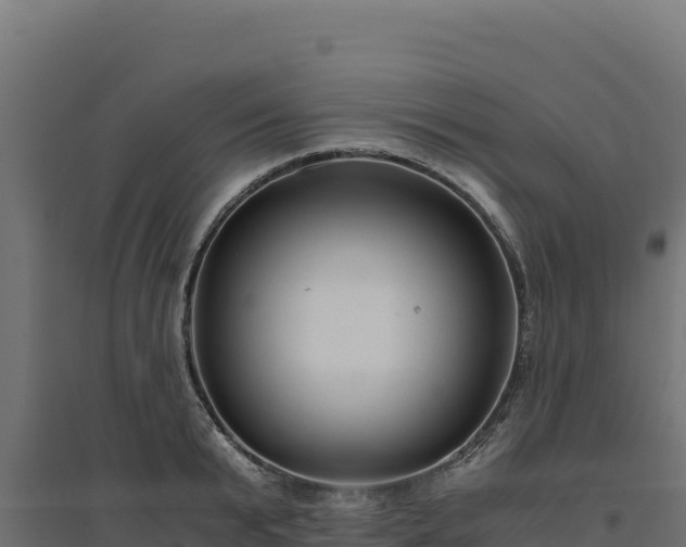 X0000094780799200711241338