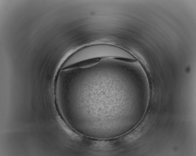 X0000094780800200711241338
