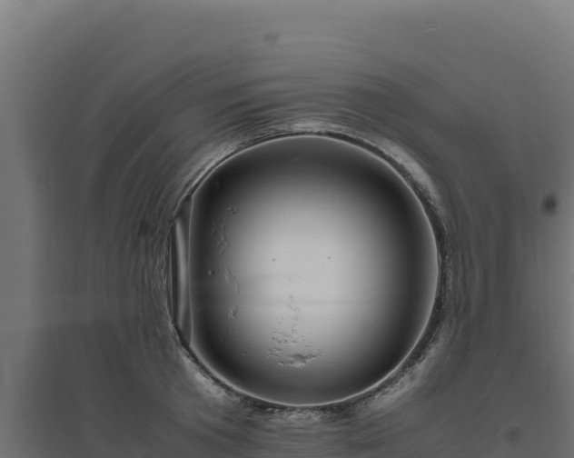 X0000094780801200711241338
