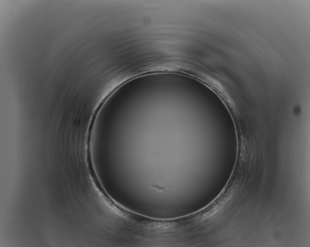 X0000094780802200711241338