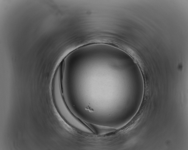 X0000094780803200711241338