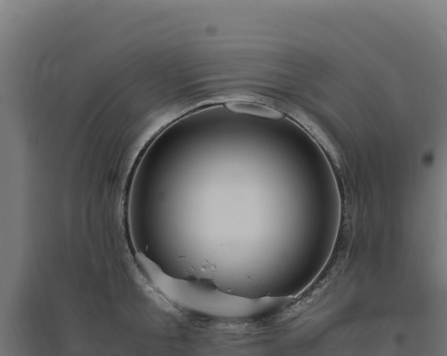 X0000094780805200711241338