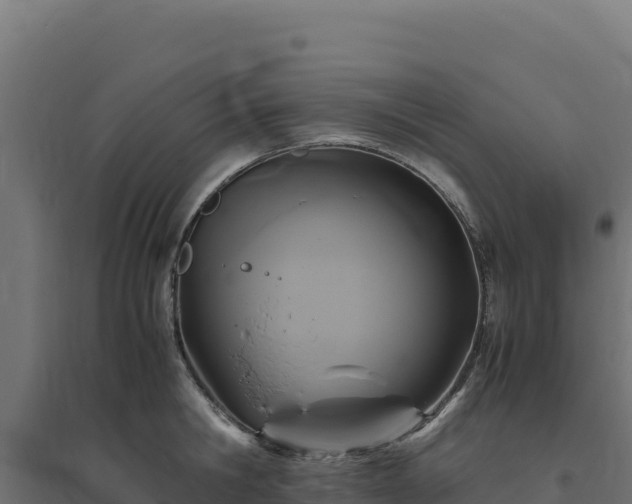 X0000094780806200711241338