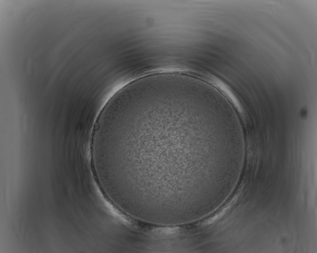 X0000094780810200711241338