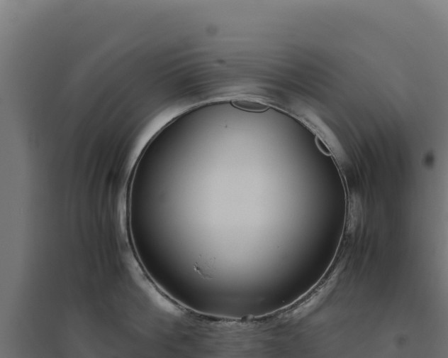 X0000094780812200711241337
