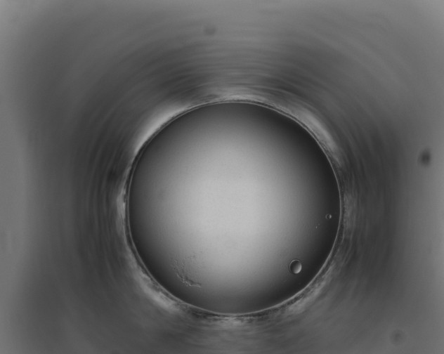 X0000094780814200711241337