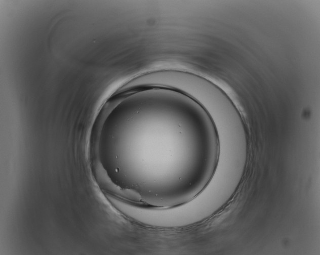 X0000094780815200711241337