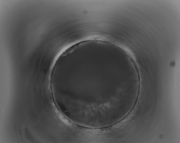 X0000094780816200711241337