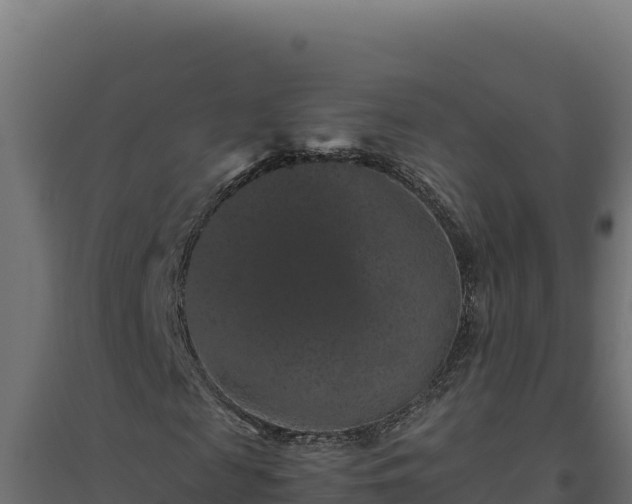 X0000094780817200711241337
