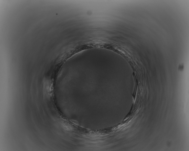 X0000094780818200711241337