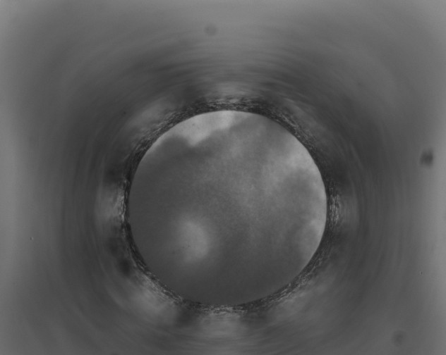 X0000094780820200711241337