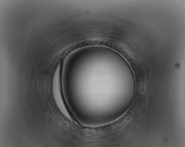 X0000094780821200711241337