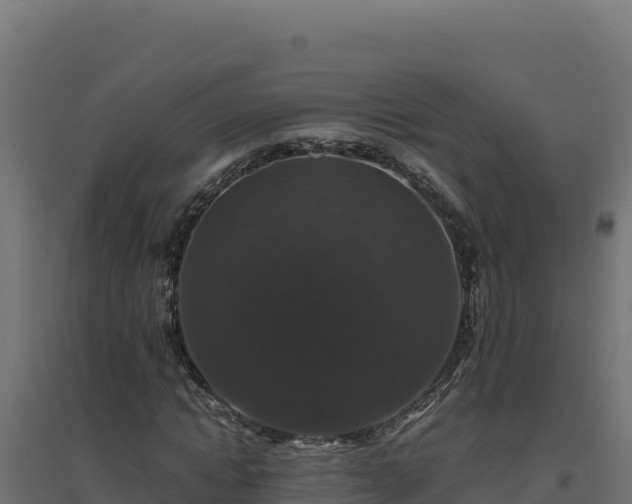 X0000094780822200711241337