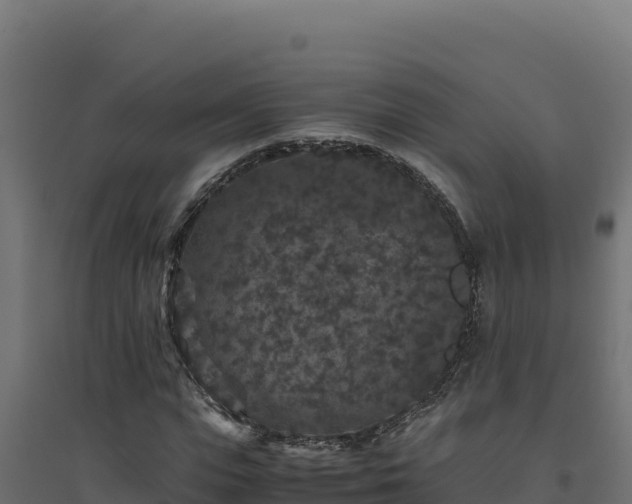 X0000094780823200711241337