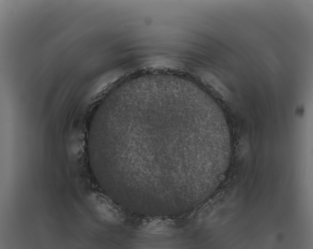 X0000094780824200711241337