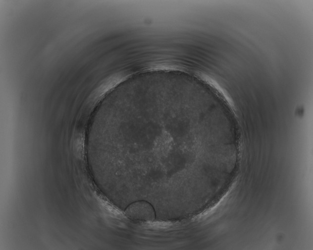 X0000094780825200711241337