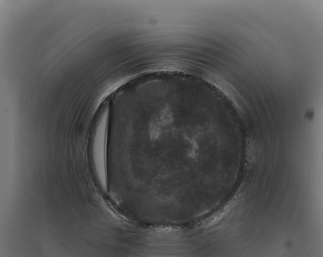 X0000094780826200711241337
