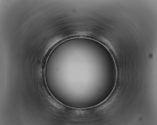X0000094780827200711241337