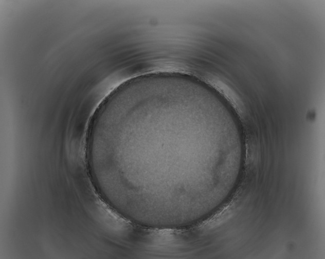 X0000094780828200711241337