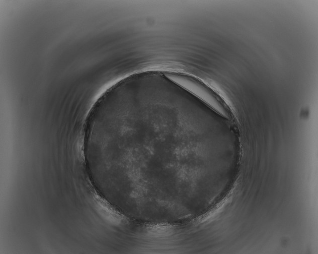 X0000094780830200711241337