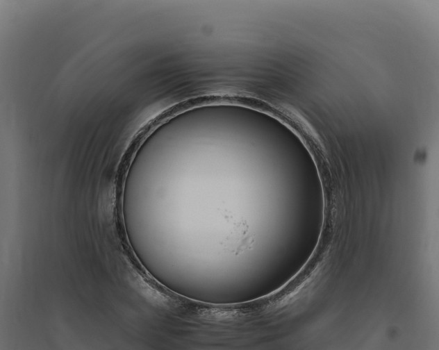 X0000094780831200711241337
