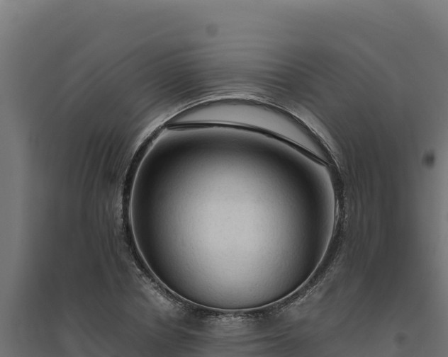 X0000094780834200711241337