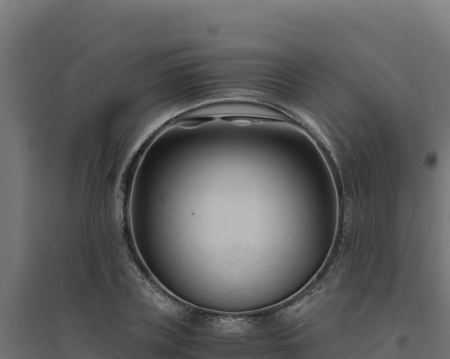 X0000094780835200711241337