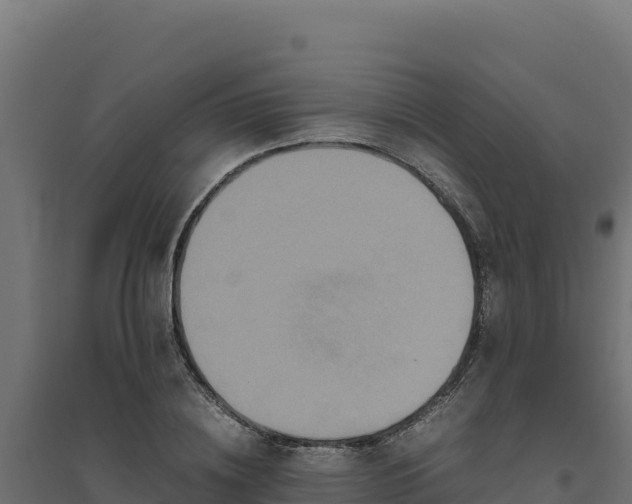 X0000094780836200711241337