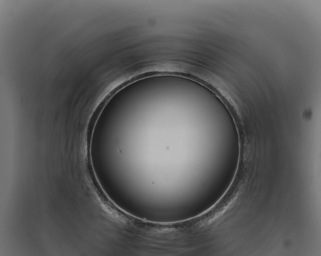 X0000094780837200711241337