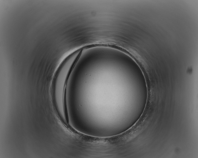 X0000094780838200711241337