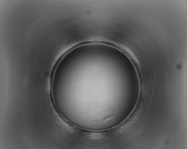 X0000094780839200711241337