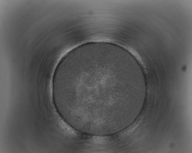 X0000094780840200711241337