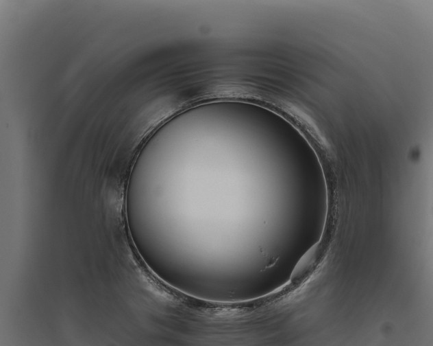 X0000094780841200711241337