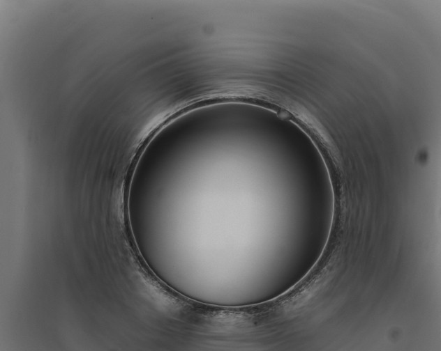 X0000094780842200711241337