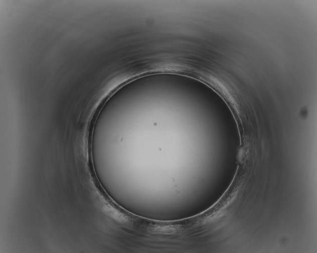 X0000094780843200711241337