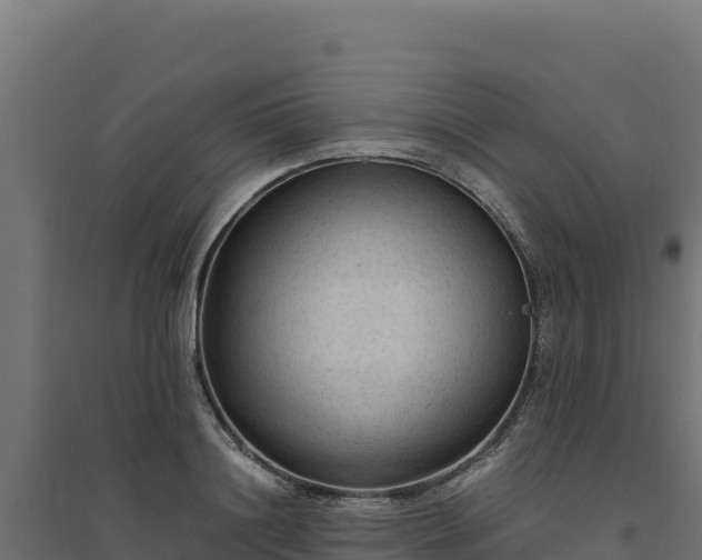 X0000094780844200711241337