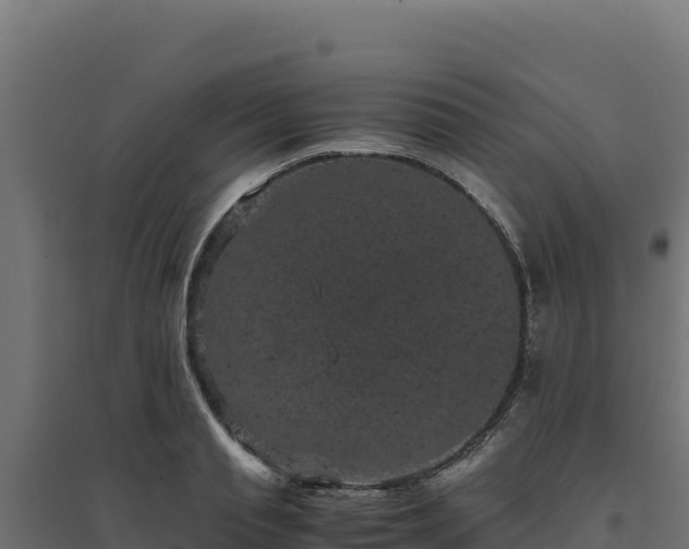X0000094780845200711241337
